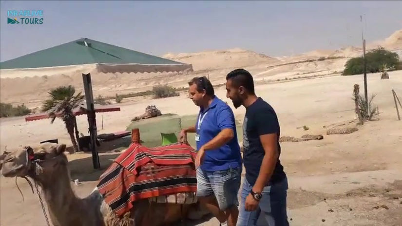 Part of live explaination about the Camel
